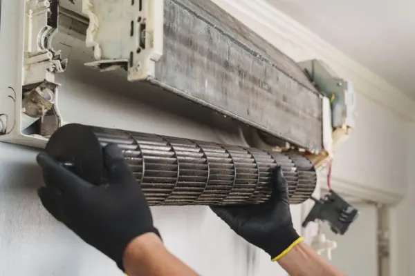 Blower & Fan Cleaning